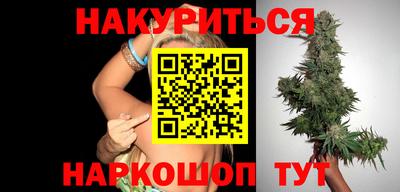 гашик Кингисепп