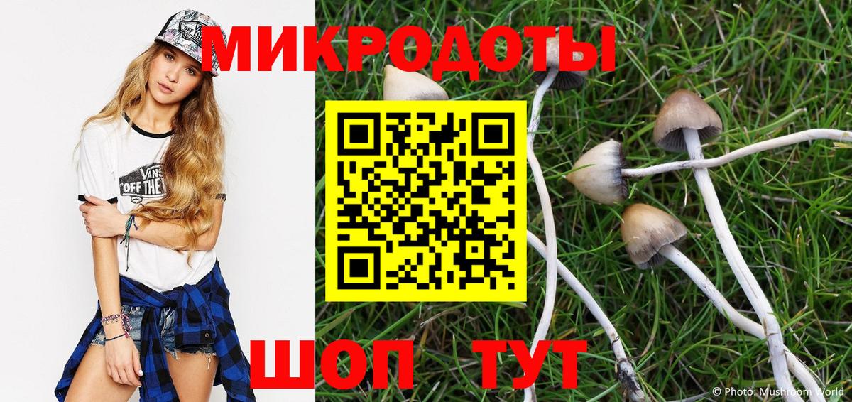Псилоцибиновые грибы Psilocybe  Псилоцибиновые грибы Psilocybine cubensis  Вход с VPN  Кондопога 
